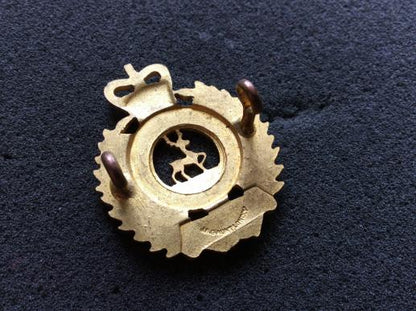 Nelson, Marlborough & West Coast Regt Officers Gilt Cap badge