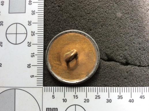 French LIBERTE ORDRE PUBLIC Large flat back button