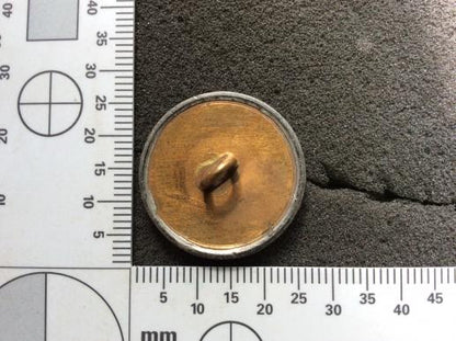 French LIBERTE ORDRE PUBLIC Large flat back button