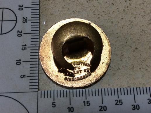 Royal Norfolk Veterans Association Gilt& enamel Lapel brooch