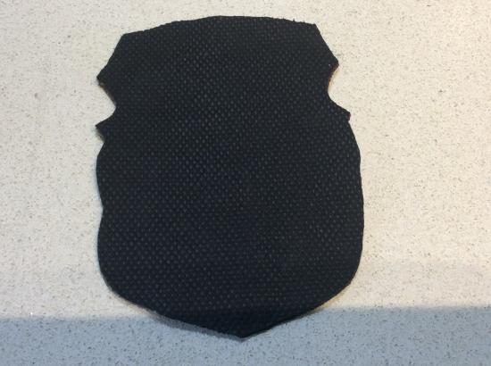 Romanian Ministry Of Internal Affairs (Moldova Parliament) patch