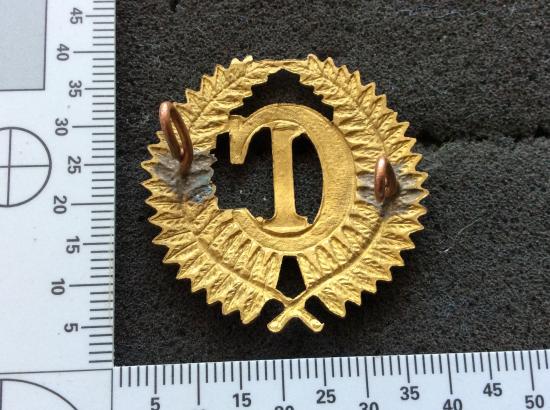 WW1 N.Z Expeditionary Force C1 Camp Cap badge