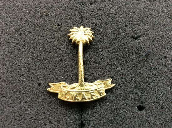 Gradia Militaria -  WW2 R.W.A.F.F Locally Made Brass Collar Badge