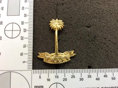 WW2 R.W.A.F.F Locally Made Brass Collar Badge