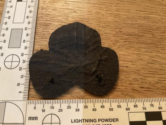 Officers Physical Training Corps Beret Badge