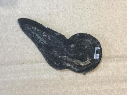 RAF electronics operations brevet