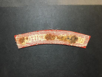 Bedford & Hertfordshire regiment shoulder badge