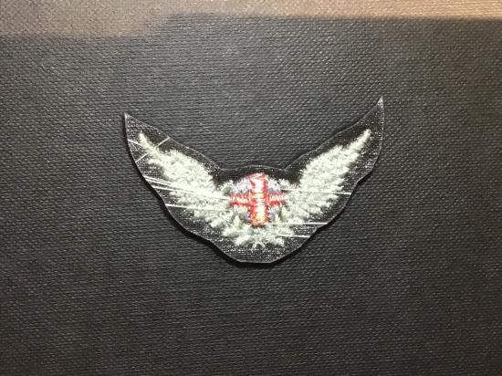 RAF Air Ambulance Attendant wings