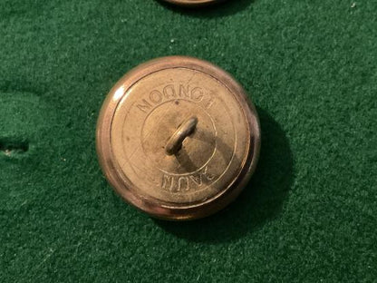 Wiltshire Regiment button, large 27mm size