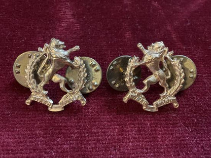 Gradia Militaria -  S.A  Regiment Highveld (motorised infantry regiment) collars