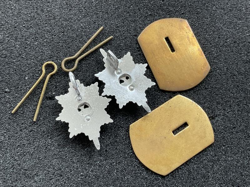 The Worcestershire Regiment anodised collar badges