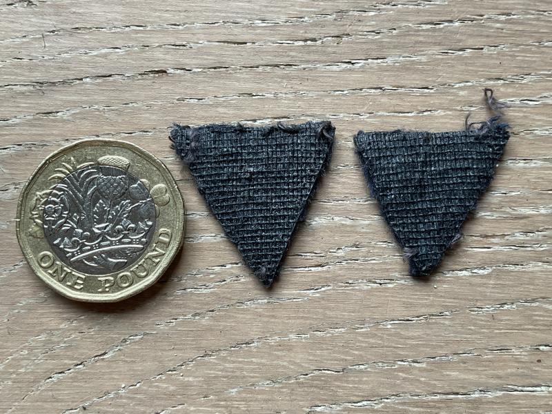 R.A.F Volunteer Reserve Trainer mess dress collar badges