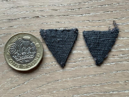 R.A.F Volunteer Reserve Trainer mess dress collar badges