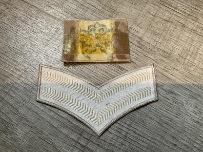 RAF PTIs tropical trade badge