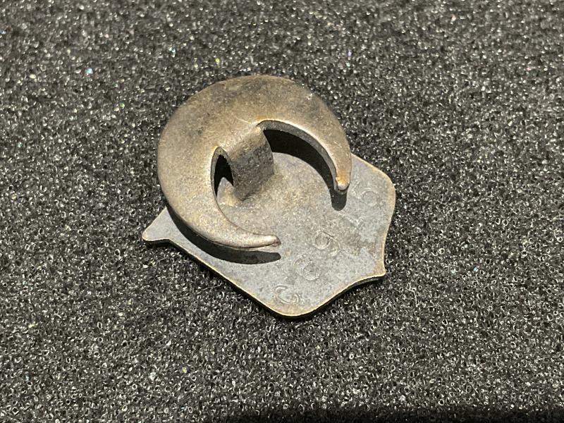 Royal Signals Association lapel badge