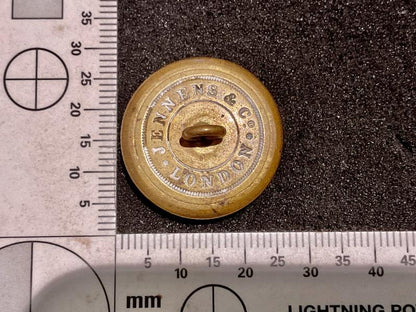 29th Regiment of Foot (Worcestershire) button