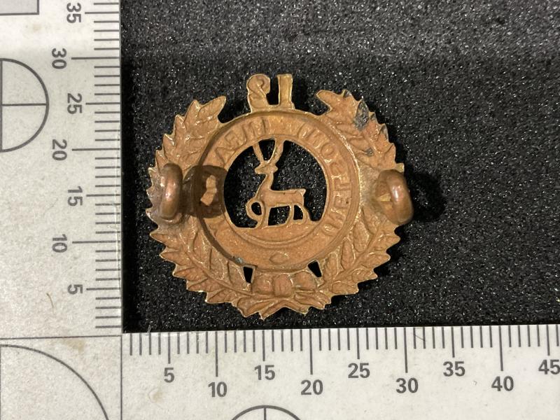 WW1 NZ 12th (Nelson) regiment collar badge