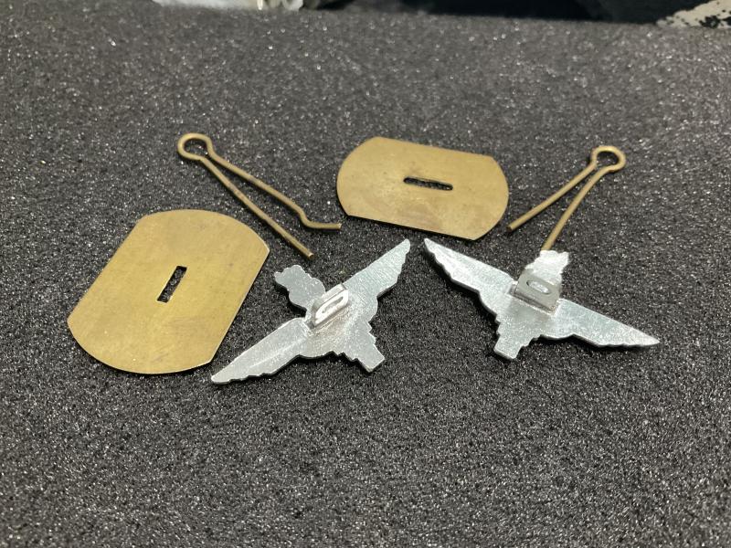 Anodised other ranks Parachute Regiment collar badges