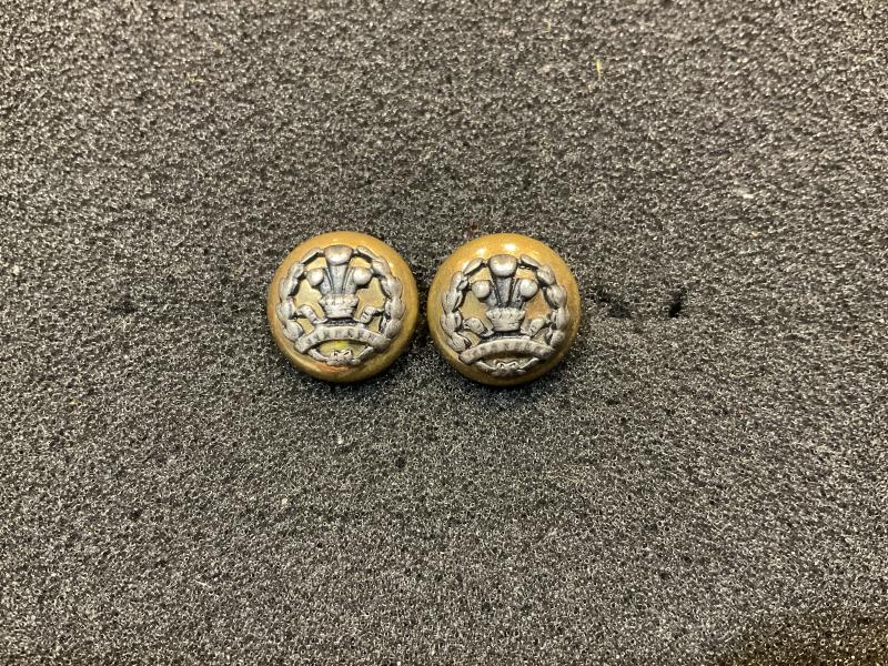 Gradia Militaria -  14mm Officers 2 part Middlesex Regt hat buttons