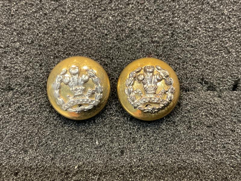 Gradia Militaria -  15mm 2 part officers Middlesex Regiment hat buttons