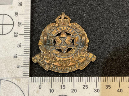 10th Battalion A.M.F , The Adelaide Rifles collar dog