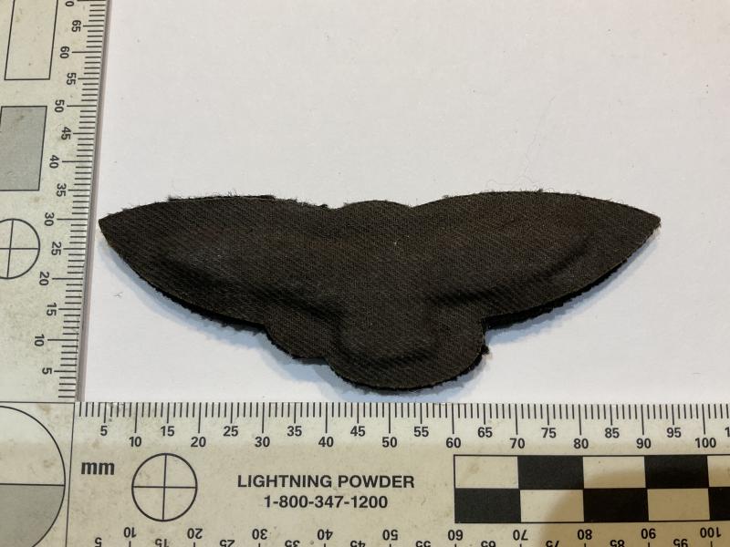 Early 1950s R.A.F Preliminary Pilots wing