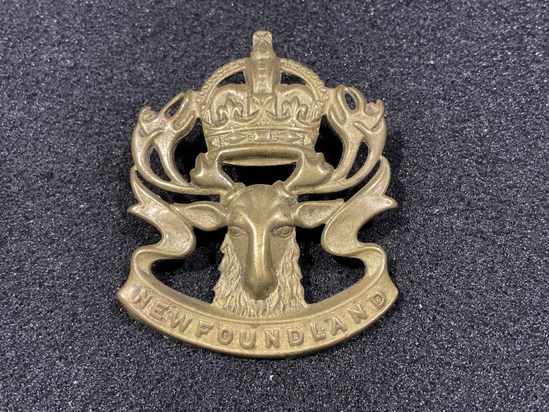 Gradia Militaria -  K/C Newfoundland Regiment cap badge