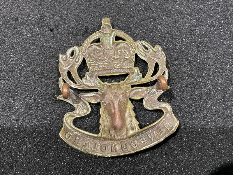 K/C Newfoundland Regiment cap badge