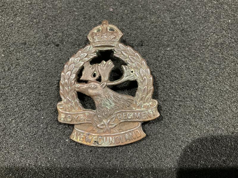 Gradia Militaria -  K/C Royal Newfoundland Regiment cap badge