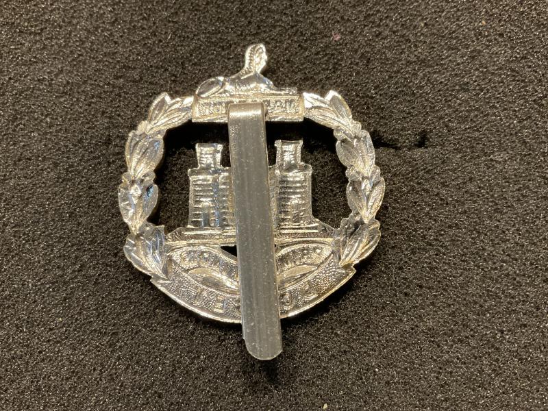 Anodised Dorset Regiment cap badge