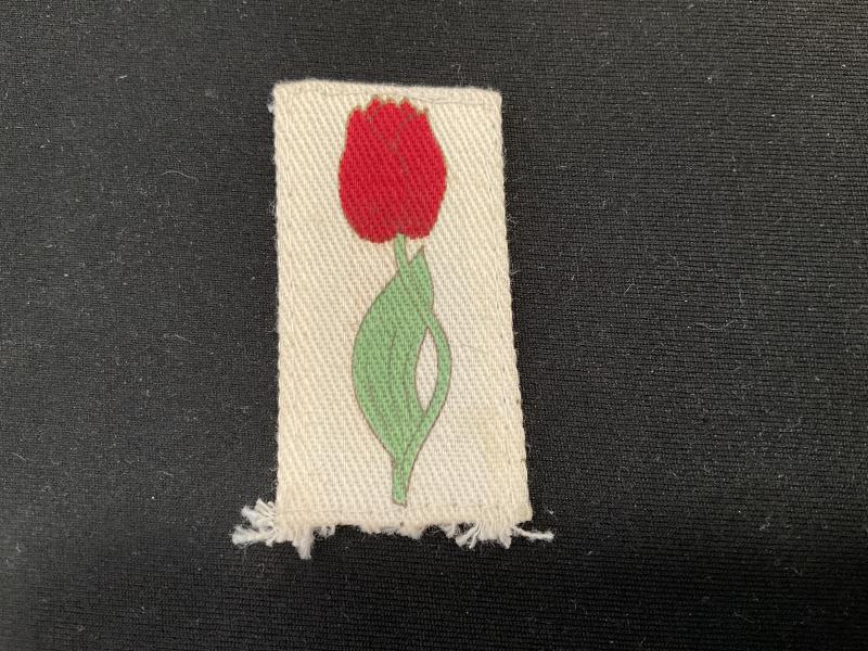 Gradia Militaria -  WW2 212th Independant Infantry Brigade formation sign