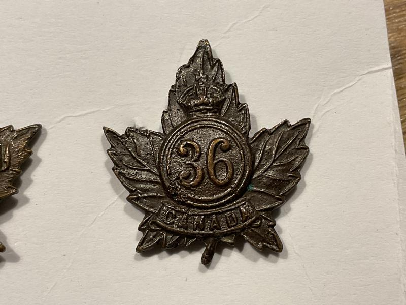WW1 CEF 36th infantry Battalion collar badge.