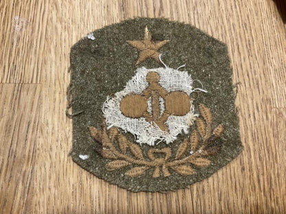WW1 U.S.Army Coastal Artillery master Engineer patch