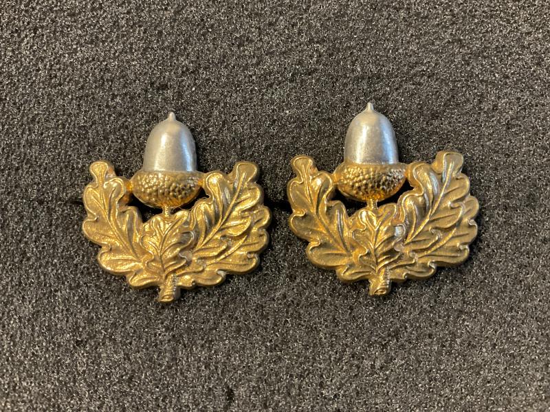 Gradia Militaria -  The Cheshire Regiment collar badges.