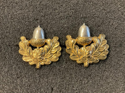 Gradia Militaria -  The Cheshire Regiment collar badges.