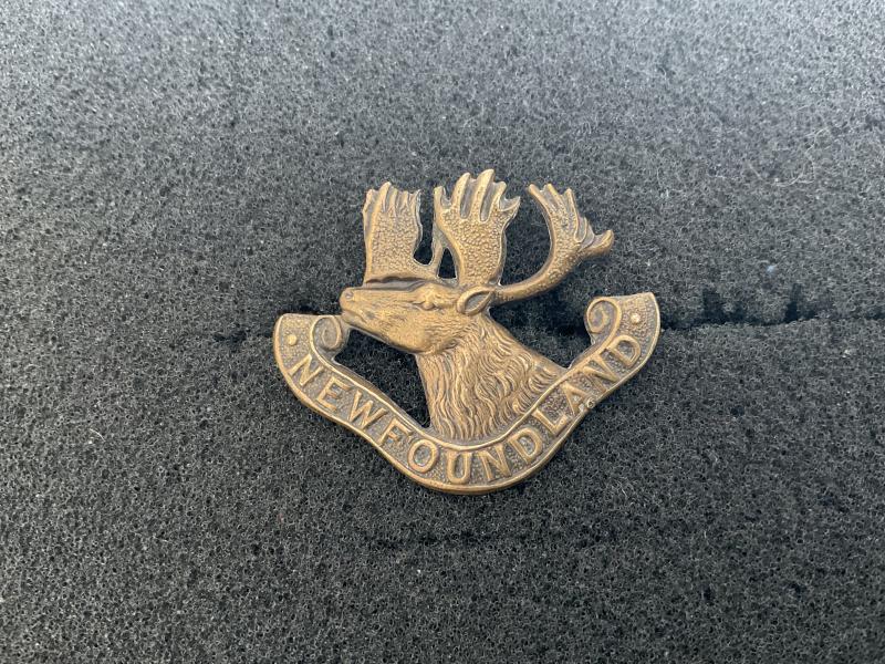 Gradia Militaria -  WW1 Newfoundland Regiment cap badge