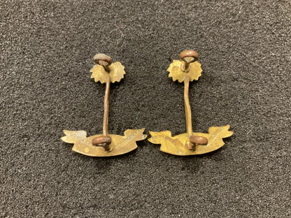 W.A.F.F Officers collar badges 1897-1928 by Dowler.