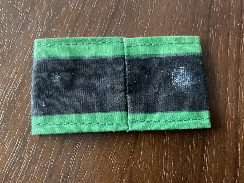 ROYAL HAMPSHIRE Regt Malaya era printed cloth slip on title.