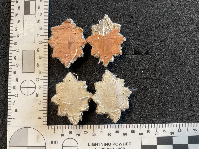 Guards Lieutenants silver bullion full dress rank pips.