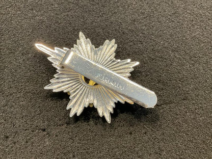 The Worcestershire & Sherwood Foresters b/m cap badge.