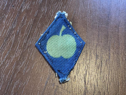 Gradia Militaria -  WW2 Northern Command printed formation sign.