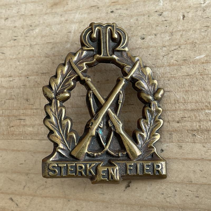 Gradia Militaria -  South African, Regiment Tobin Muller brass cap badge.