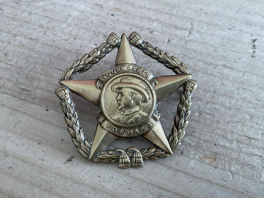 Gradia Militaria -  S.A Regiment Botha brass cap badge.