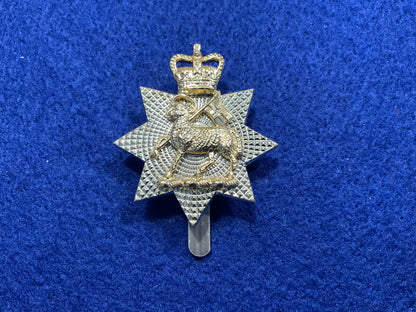 Anodised Queens Royal Surrey Regt cap badge by Gaunt