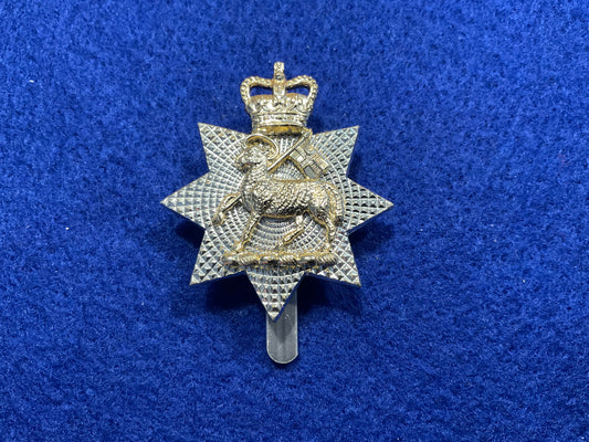 Anodised Queens Royal Surrey Regt cap badge by Gaunt