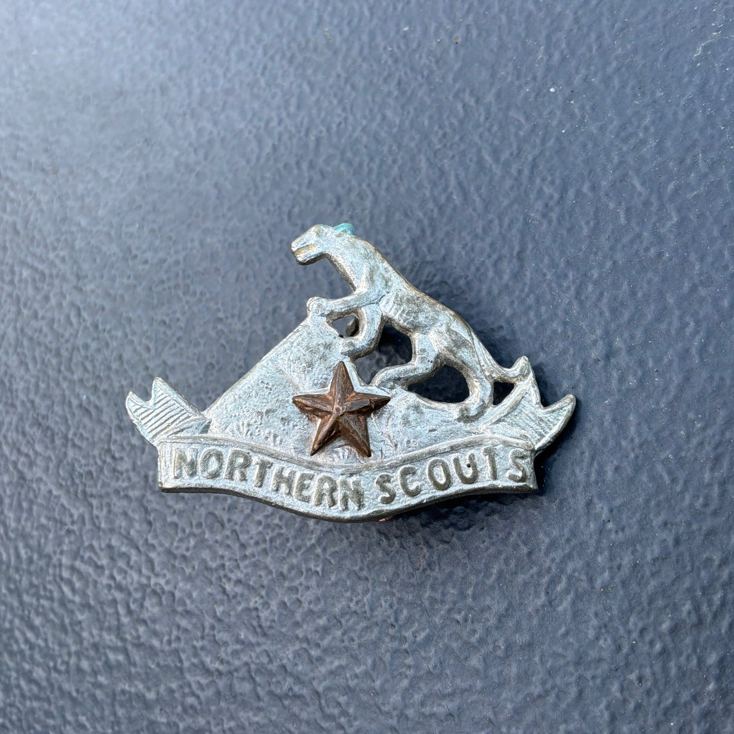 Northern Scouts cap badge.