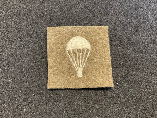 WW2 Parachute trained trade badge (lightbulb)
