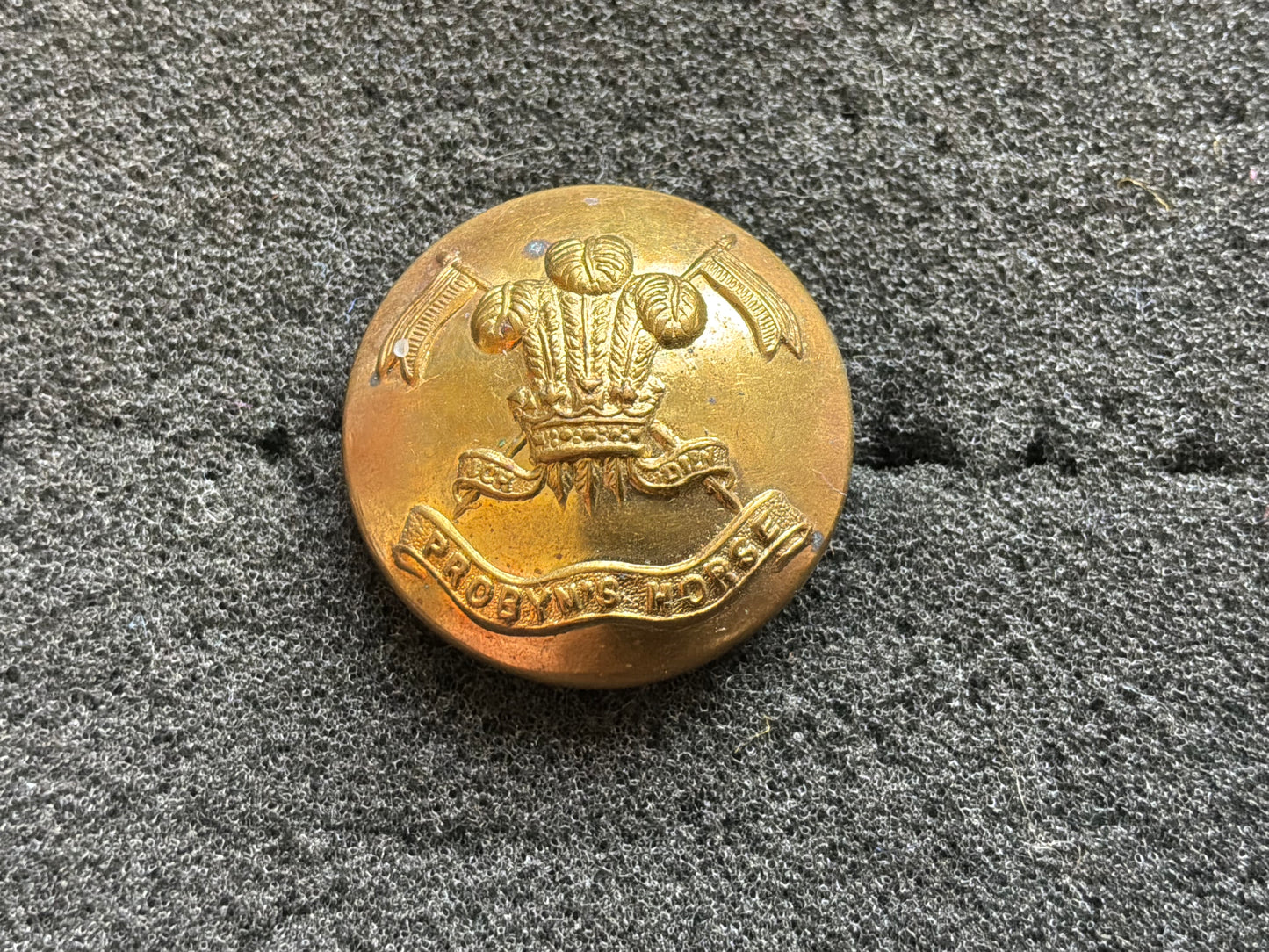 Indian Army 5th King Edward’s Own Probyn’s Horse button.