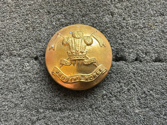 Indian Army 5th King Edward’s Own Probyn’s Horse button.
