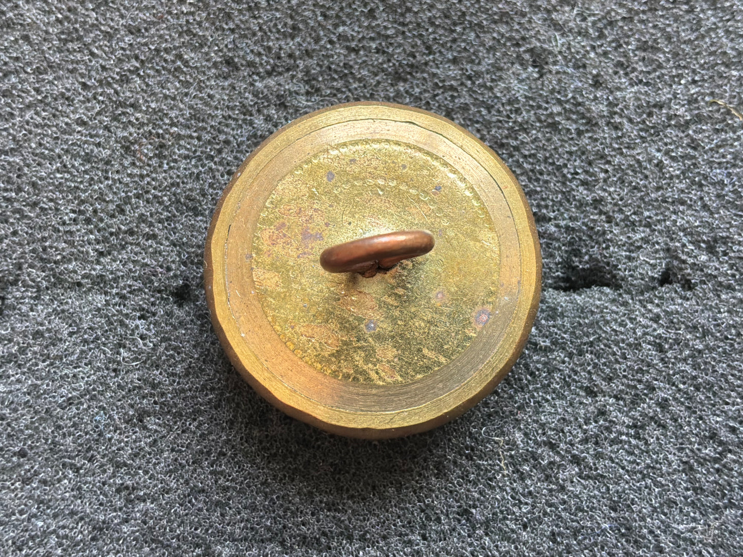 Indian Army 5th King Edward’s Own Probyn’s Horse button.